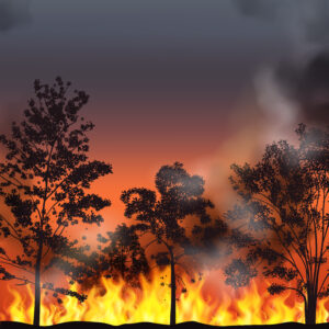 U.S. Braces for Severe Wildfire Season Amid Drought