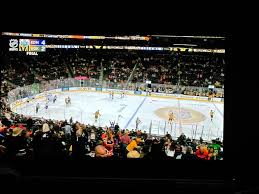 Fan Said to Go Into Labor During NHL Game